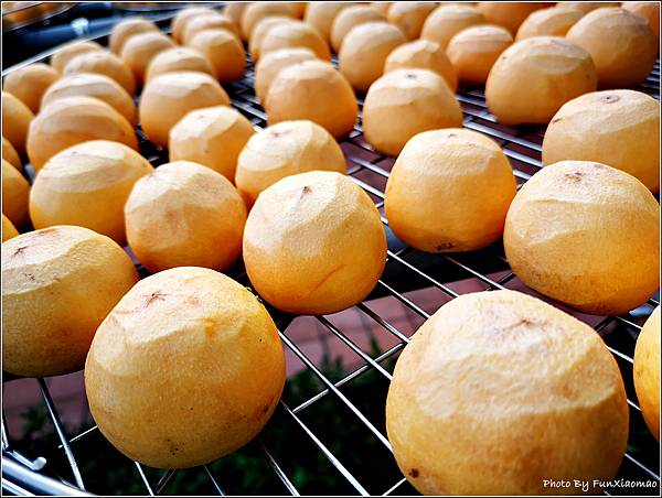 金漢柿餅 - 023.jpg