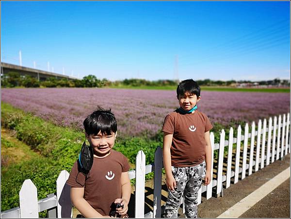 仙草花海節 - 007.jpg