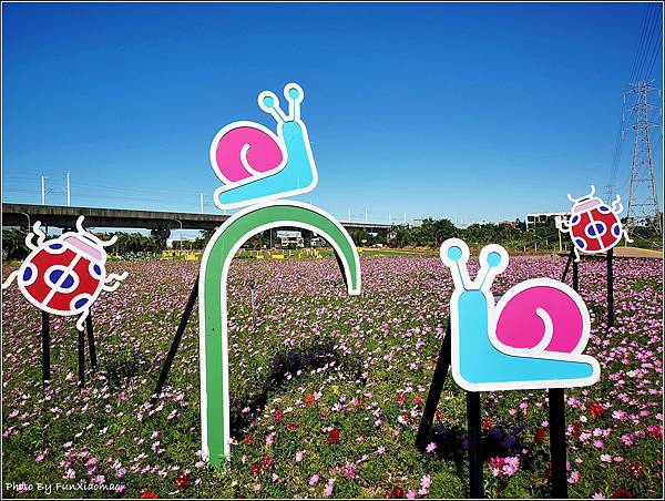 仙草花海節 - 017.jpg