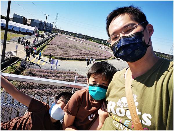 仙草花海節 - 051.jpg