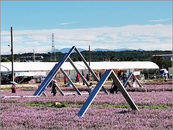 仙草花海節 - 068.jpg