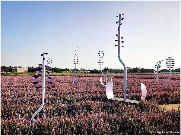 楊梅仙草花節 - 008.jpg