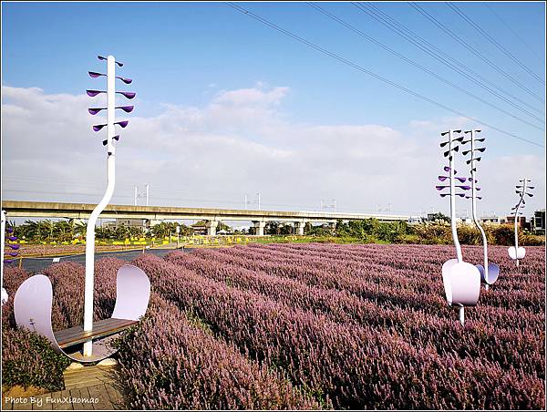 楊梅仙草花節 - 009.jpg