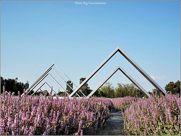 楊梅仙草花節 - 053.jpg