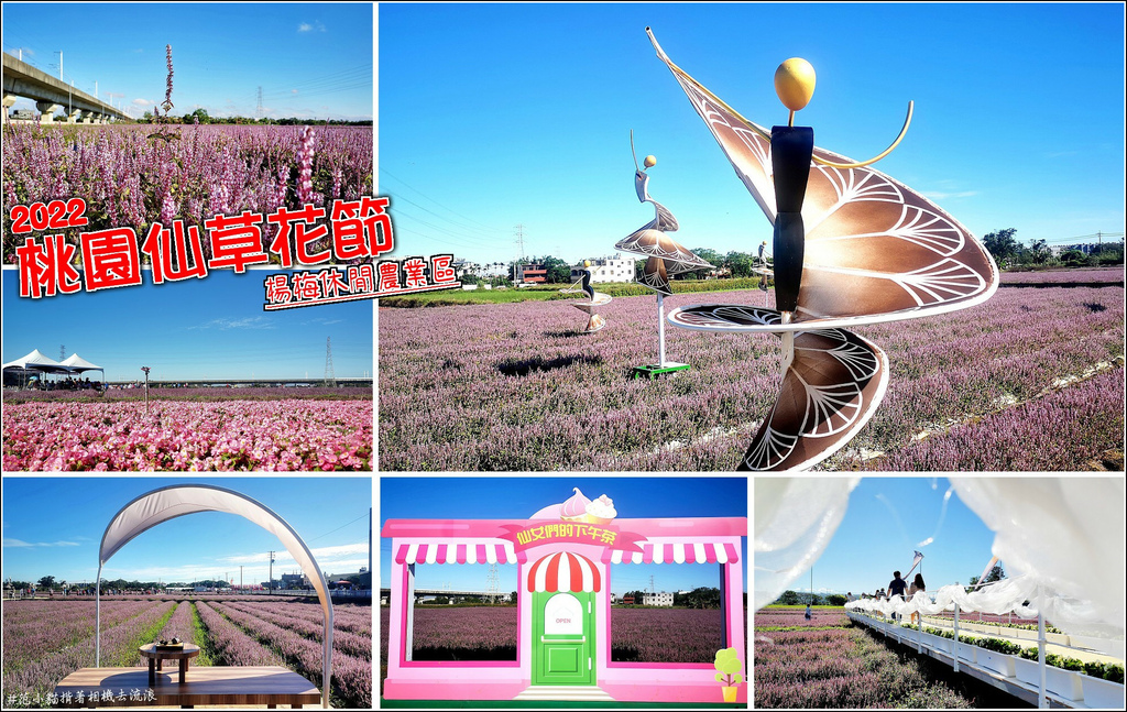 桃園仙草花節 - 001.jpg