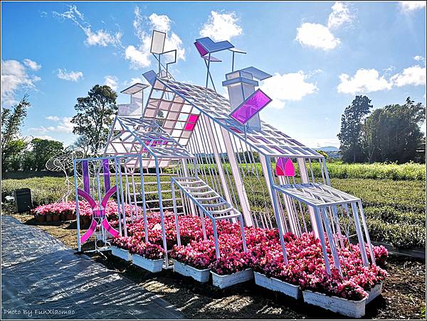 2023仙草花節 - 006.jpg