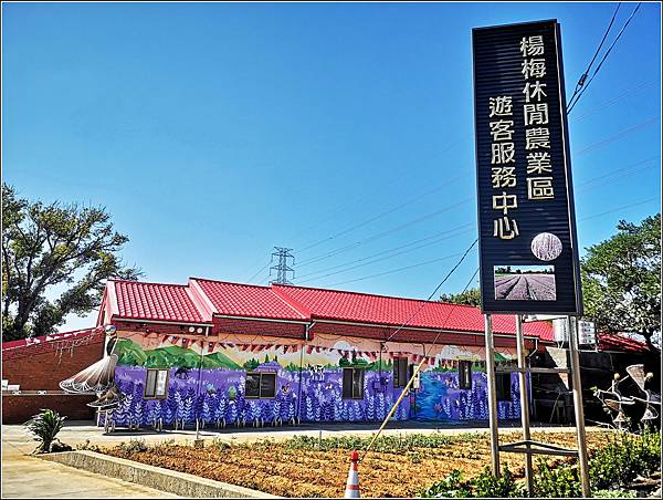 2023仙草花節 - 025.jpg