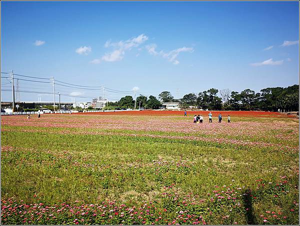 2023仙草花節 - 045.jpg