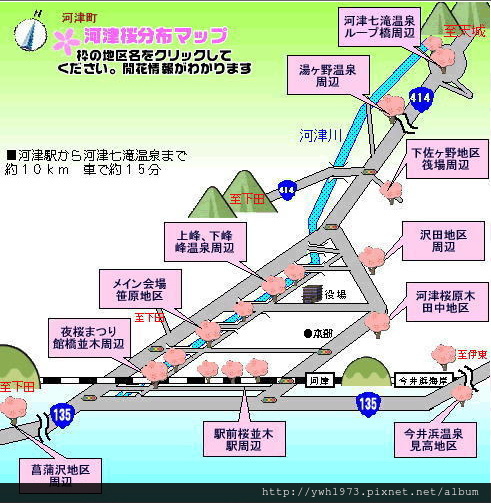 河津桵開花情報