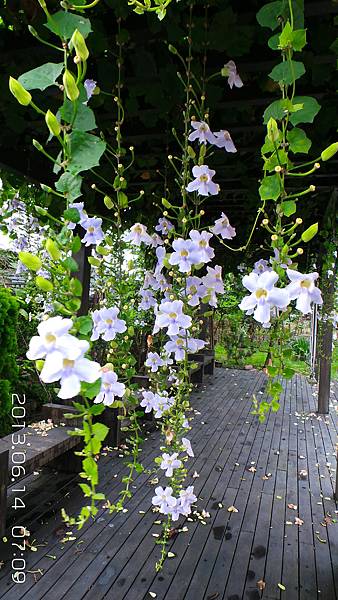 20130614_070903 20130614_070903