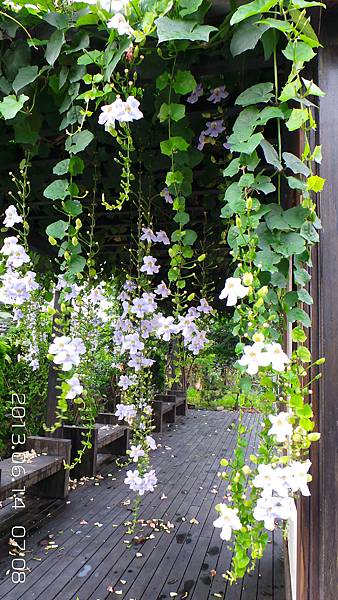 20130614_070852 20130614_070852