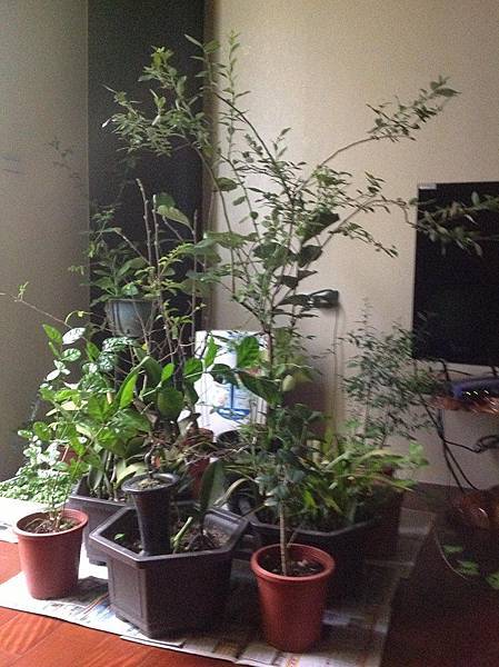 969314_561894083856897_1194389665_n