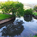10-20130805_070437