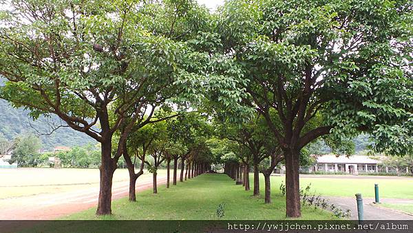 20130529_武塔國小校景_03.JPG