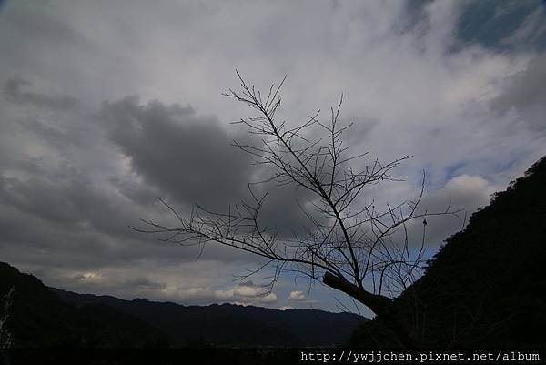 IMG_0286 IMG_0286
