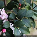 02-IMG_0667.JPG