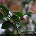 05-IMG_0135.JPG