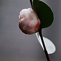 06-IMG_0141.JPG