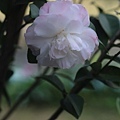 09-IMG_0456.JPG