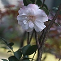 11-IMG_0458.JPG