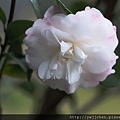 12-IMG_0131.JPG