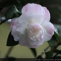 13-IMG_0132.JPG