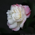 20-IMG_0150.JPG