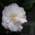 21-IMG_0151.JPG