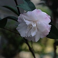 24-IMG_0457.JPG