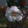 28-IMG_0543.JPG