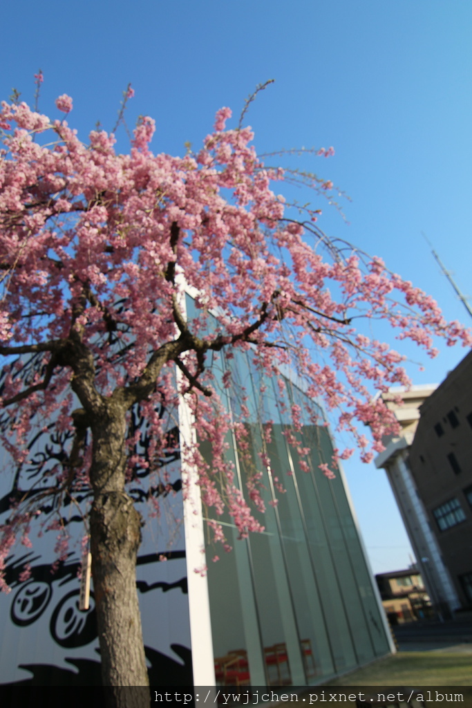 05-IMG_0463.JPG 05-IMG_0463.JPG