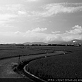 04-IMG_0863-BW.jpg
