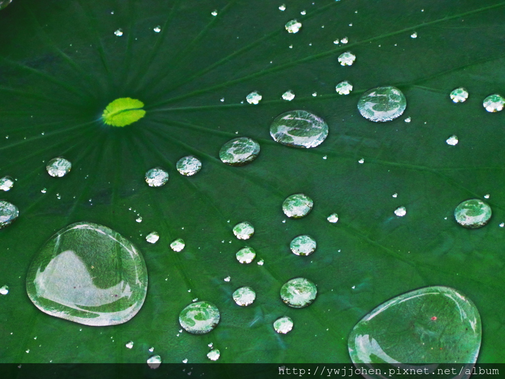 01-20140617_061117.JPG 01-20140617_061117.JPG