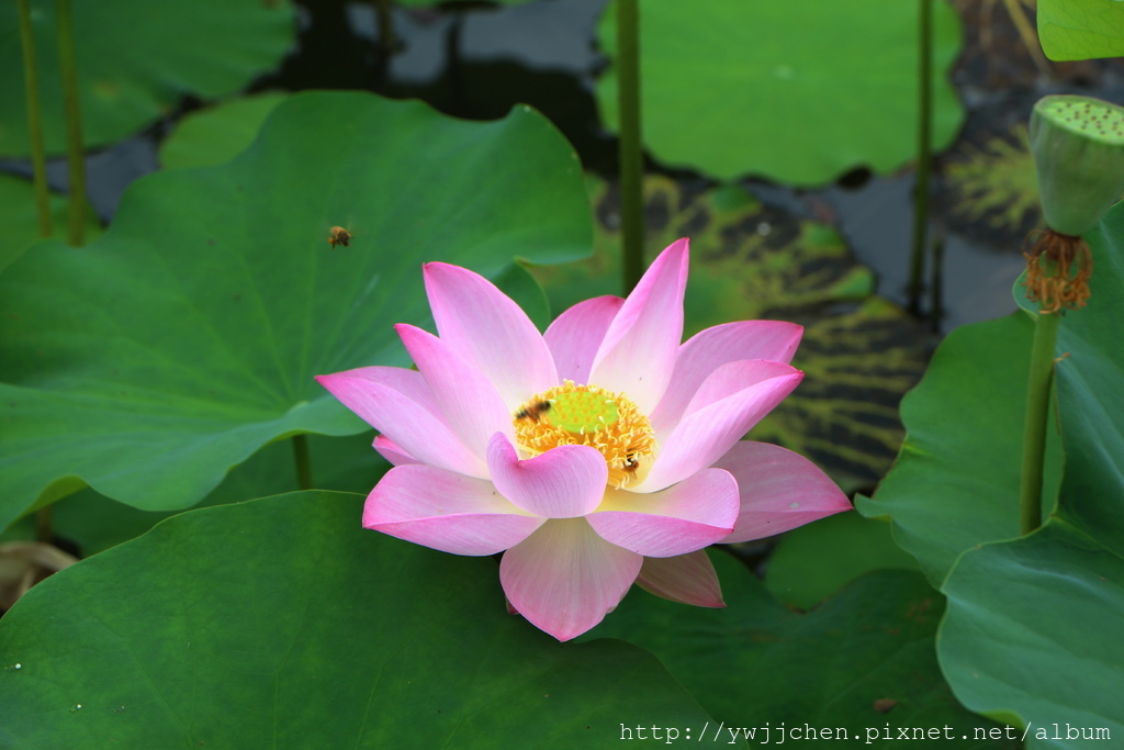 01-IMG_1659.JPG 01-IMG_1659.JPG