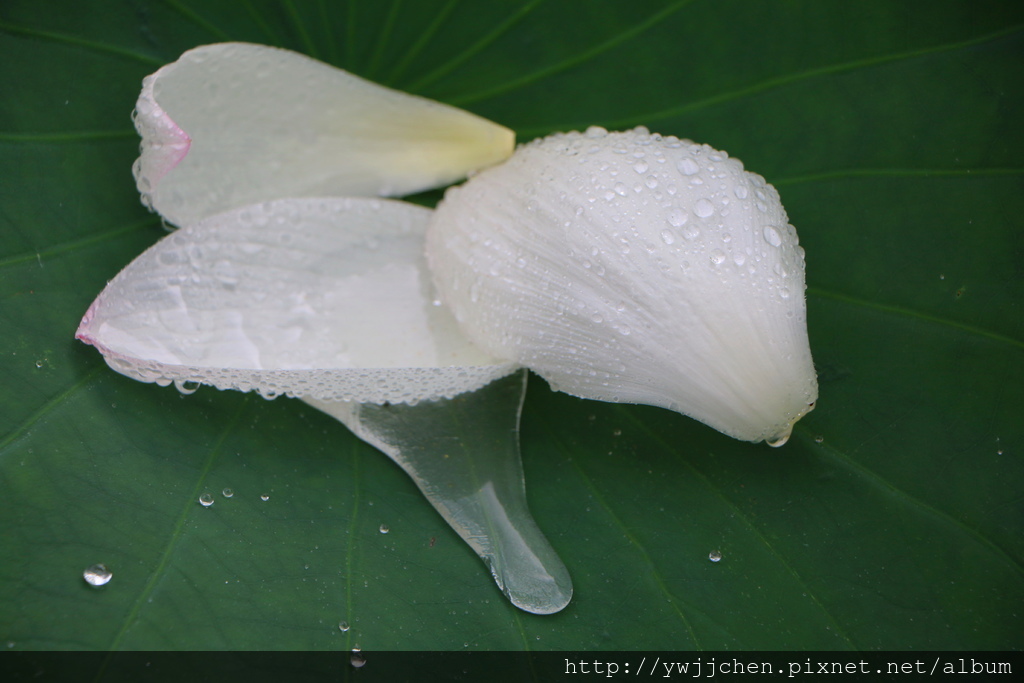 01-IMG_2081.JPG 01-IMG_2081.JPG