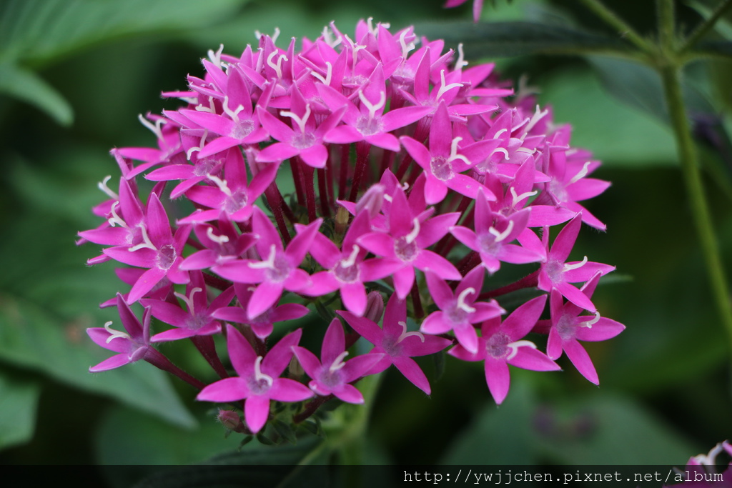 01-IMG_0055.JPG 01-IMG_0055.JPG