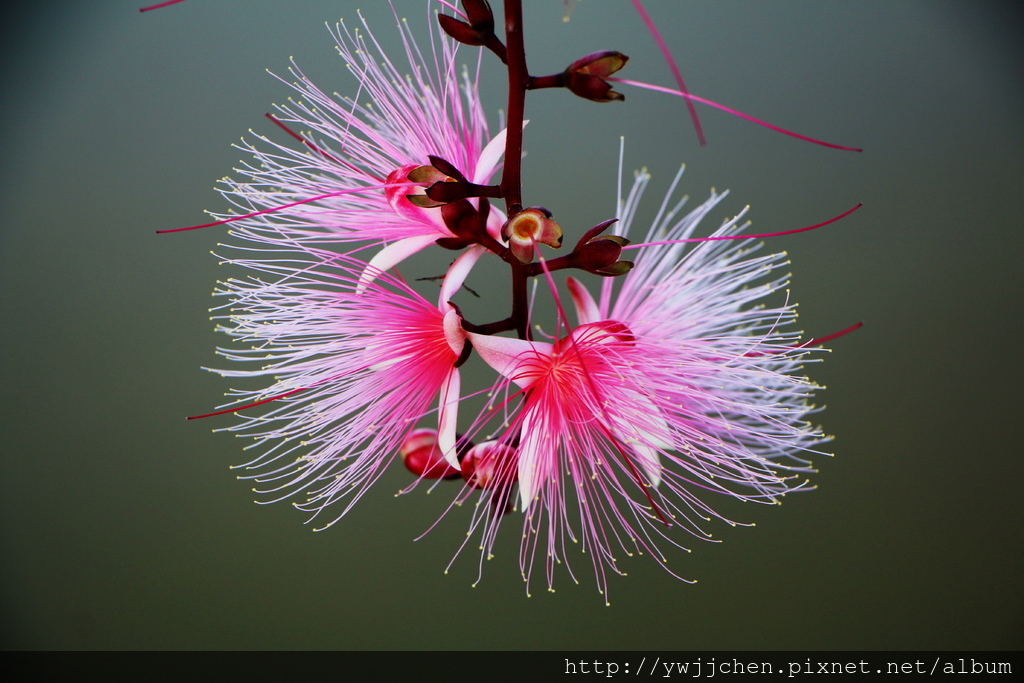 01-IMG_0667.JPG 01-IMG_0667.JPG