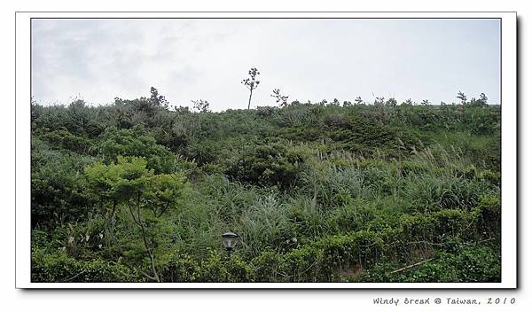 上山囉~