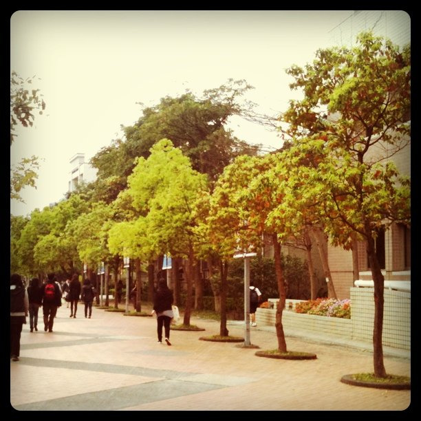 2011.03.31.jpg