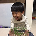 20170308 荳芽日記_170309_0010.jpg