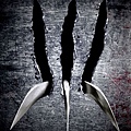 x-men-origins-wolverine-poster.jpg