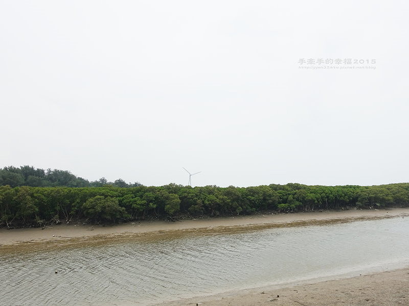 紅毛港150711003 紅毛港150711003