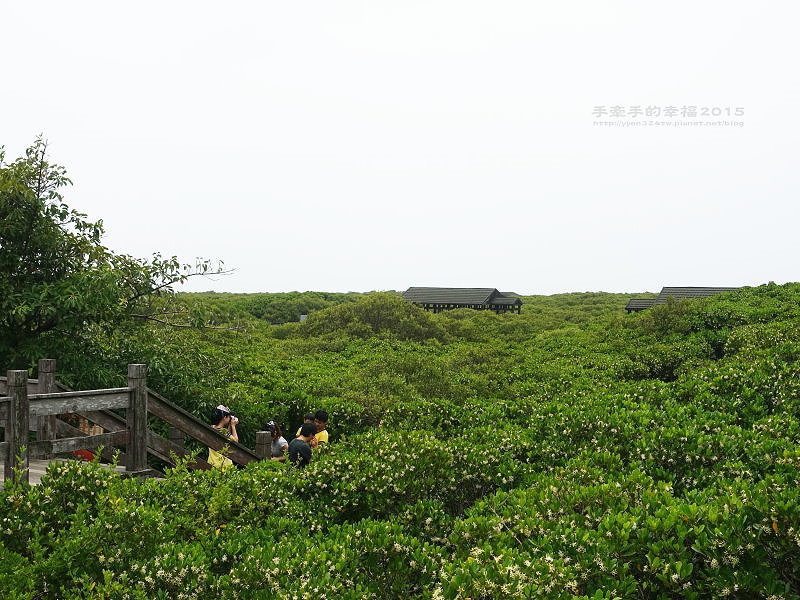 紅毛港150711008 紅毛港150711008