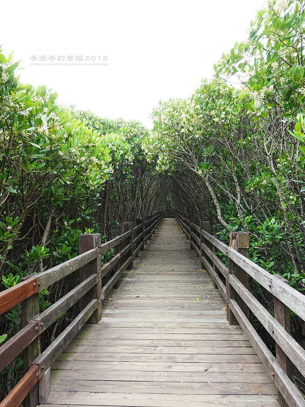 紅毛港150711010 紅毛港150711010