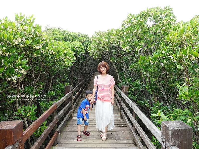 紅毛港150711011 紅毛港150711011