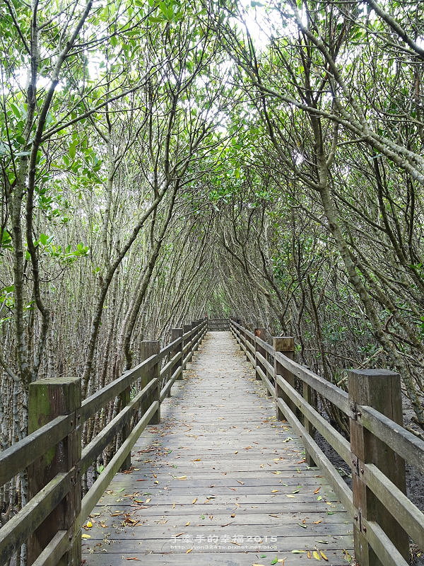 紅毛港150711012 紅毛港150711012