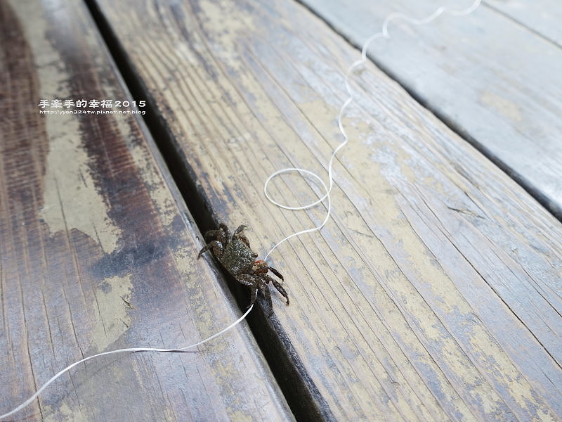 紅毛港150711017 紅毛港150711017