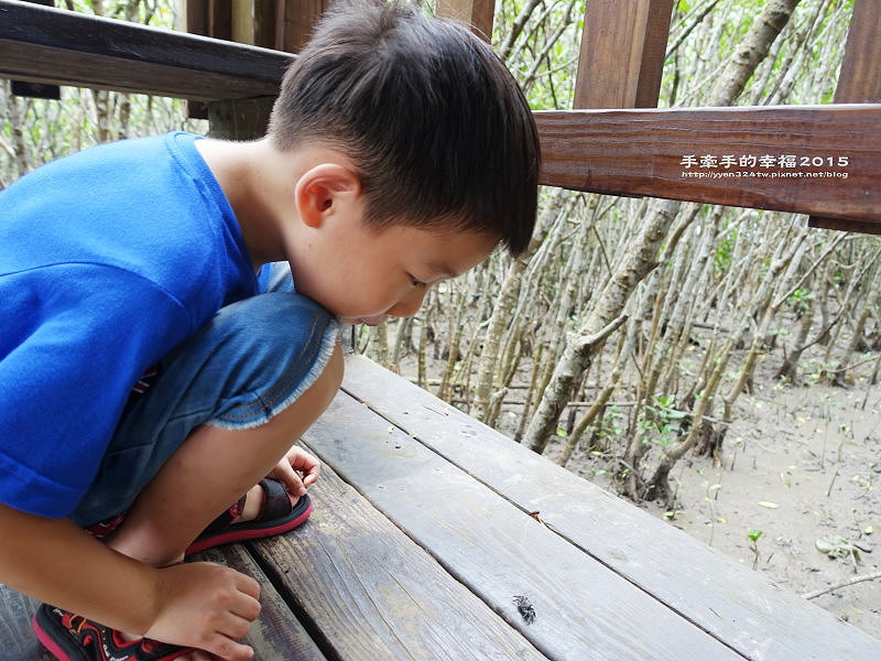 紅毛港150711018 紅毛港150711018