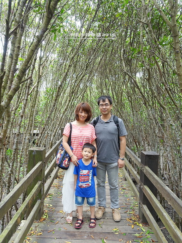 紅毛港150711020 紅毛港150711020