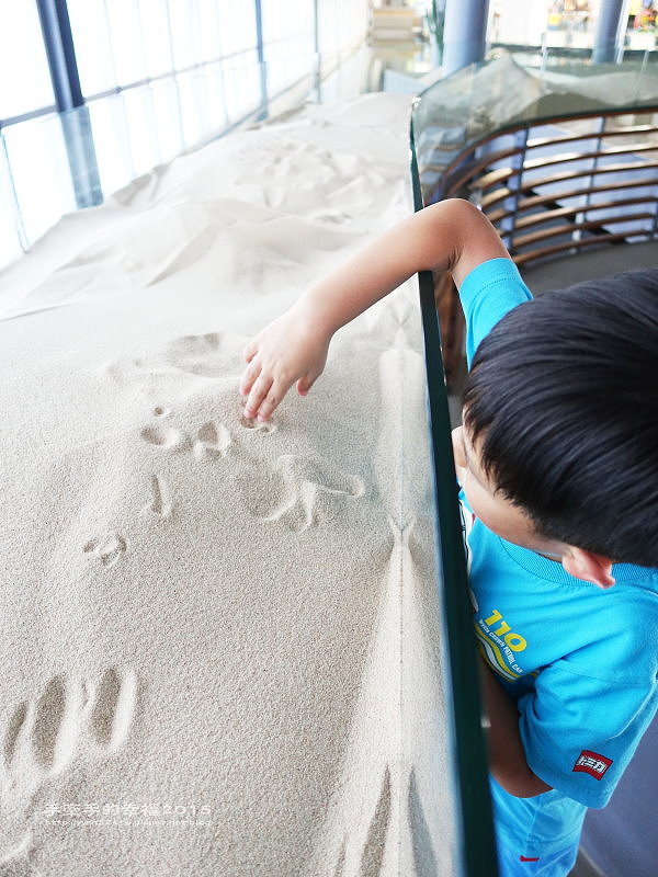 環生方舟150906013 環生方舟150906013